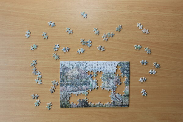 Wie bei einem großen Puzzle: es macht große Freude, zu sehen, wie sich das Bild weiterentwickelt.