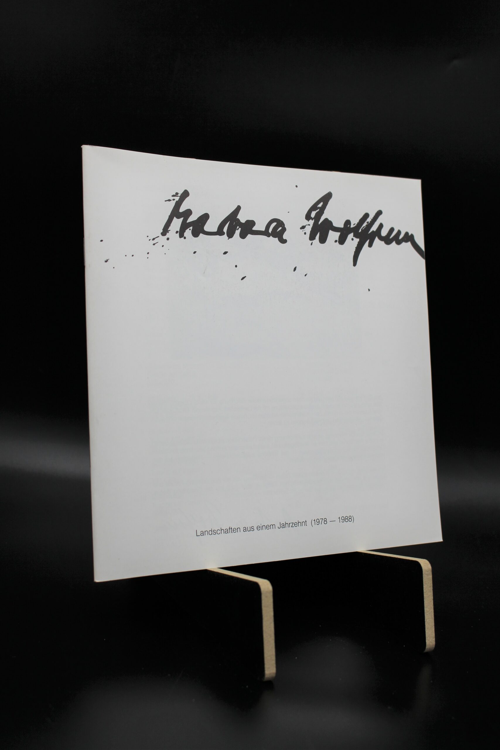 "Landschaften aus einem Jahrzehnt" (Barbara Wolfrum)