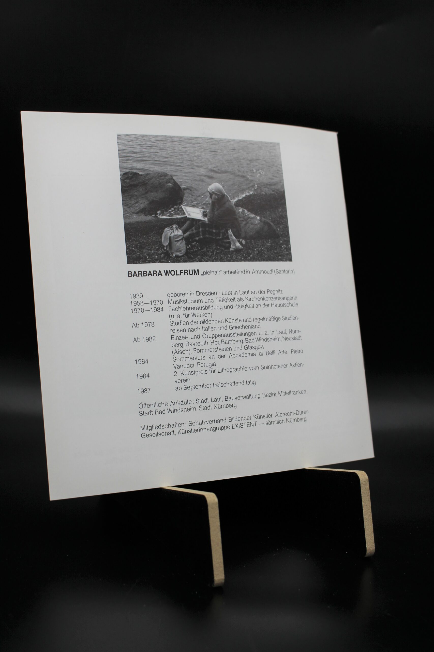 "Landschaften aus einem Jahrzehnt" (Barbara Wolfrum) – Bild 2