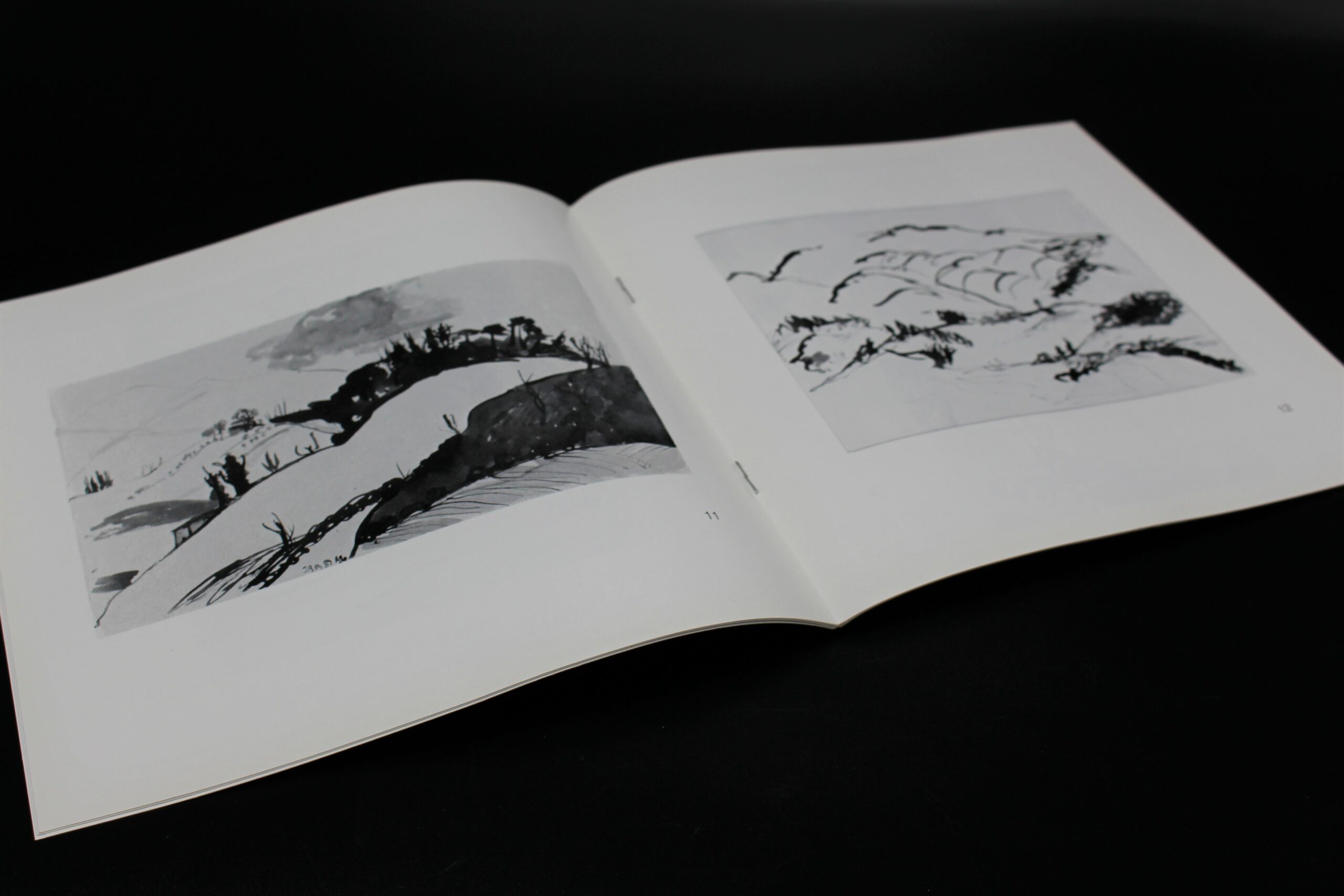 "Landschaften aus einem Jahrzehnt" (Barbara Wolfrum) – Bild 4