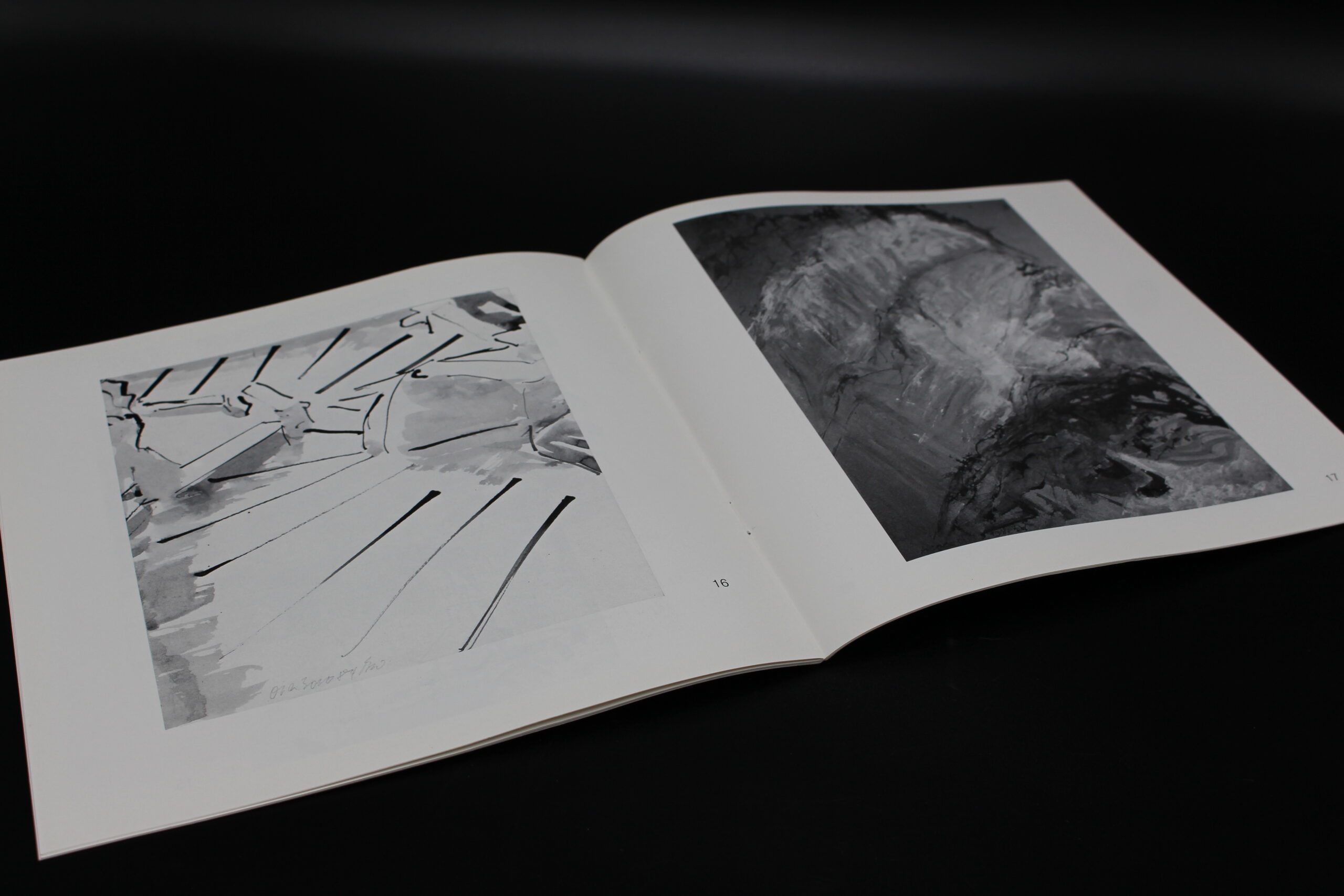 "Landschaften aus einem Jahrzehnt" (Barbara Wolfrum) – Bild 3