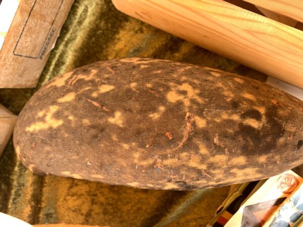 Baobab-Pulver (Bio) – Bild 10