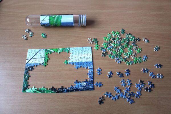 Micro-Puzzle "ALEXANDER von HUMBOLDT II" - Motiv II – Bild 6