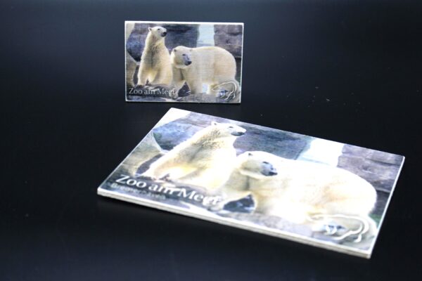 Holzmagnet „Zoo am Meer Bremerhaven" - Eisbär - Motiv II – Bild 3