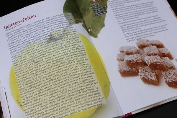 Kochbuch "Sadd & Dsufriedn" – Bild 10