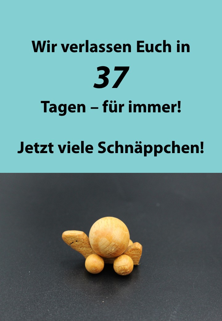 Nur noch wenige Tage…